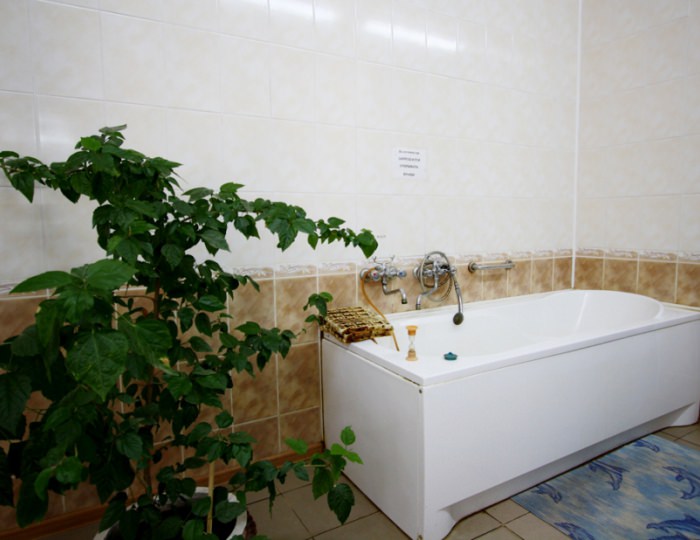 Ванны - Санаторий «Ченки»