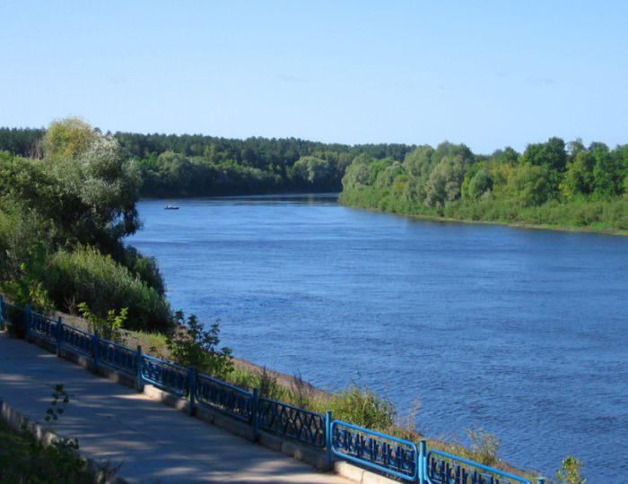 Услуги, развлечения и спорт - Санаторий «Ченки»